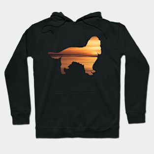 Springer Spaniel Sunset Hoodie